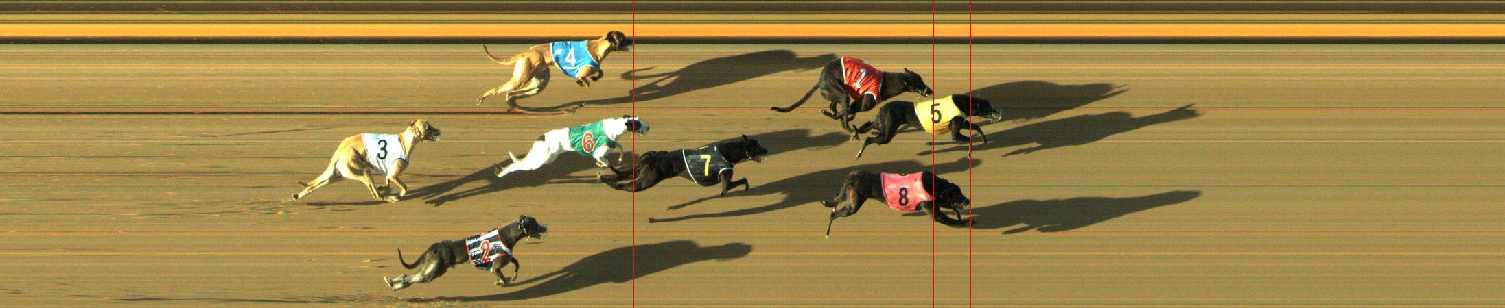 Photo finish for Geelong Race 2