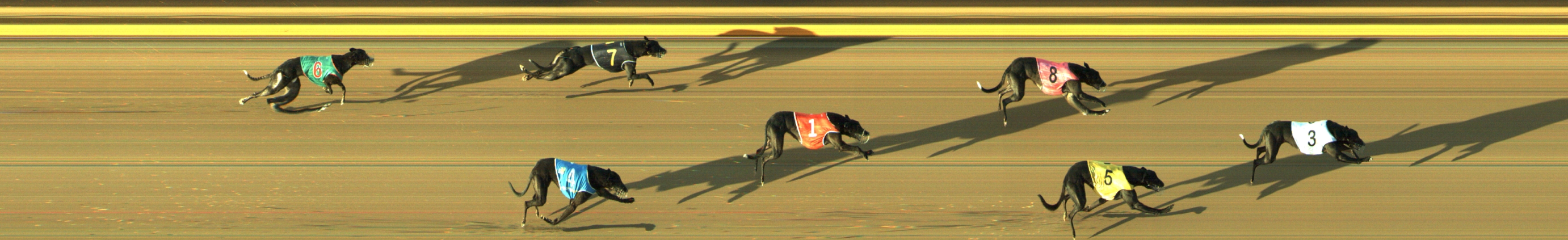 Photo finish for Geelong Race 3