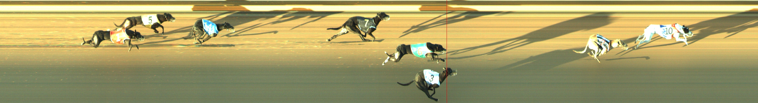 Photo finish for Geelong Race 4