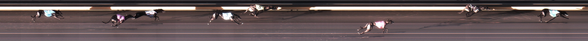 Photo finish for Geelong Race 5