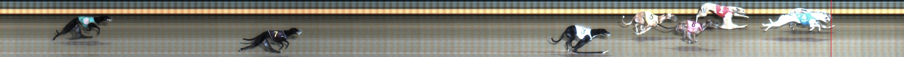 Photo finish for Geelong Race 6
