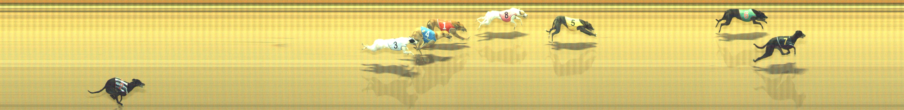 Photo finish for Geelong Race 7