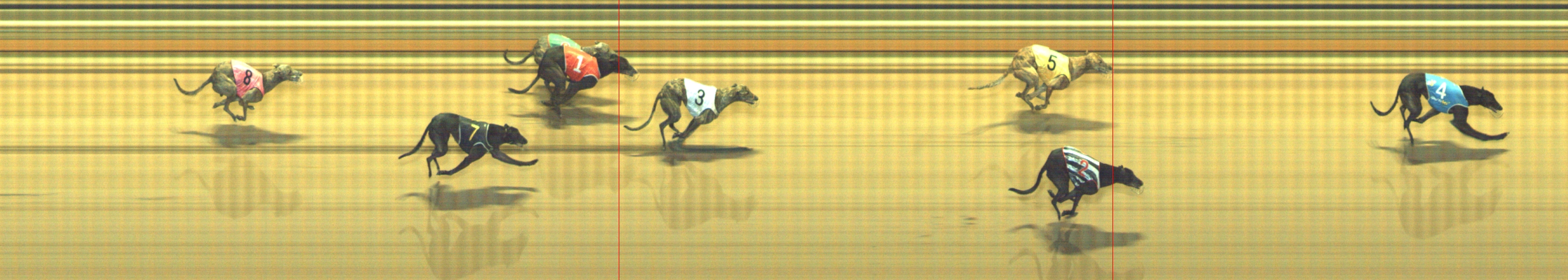 Photo finish for Geelong Race 8