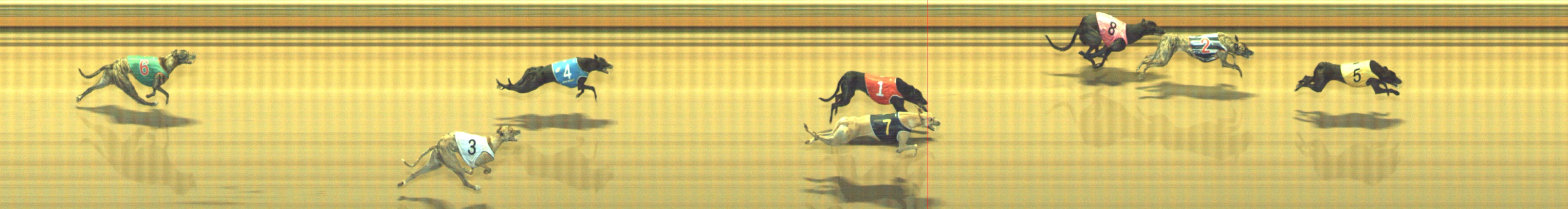 Photo finish for Geelong Race 9