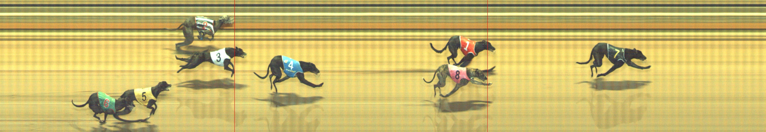 Photo finish for Geelong Race 11