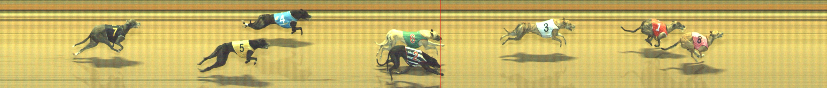 Photo finish for Geelong Race 12