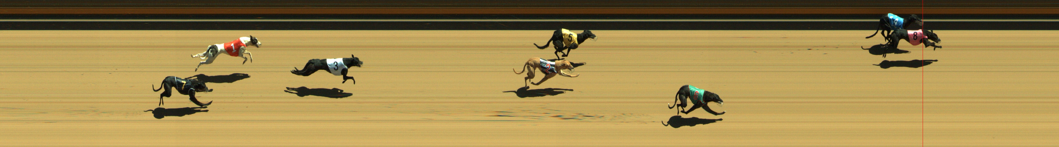 Photo finish for Geelong Race 1