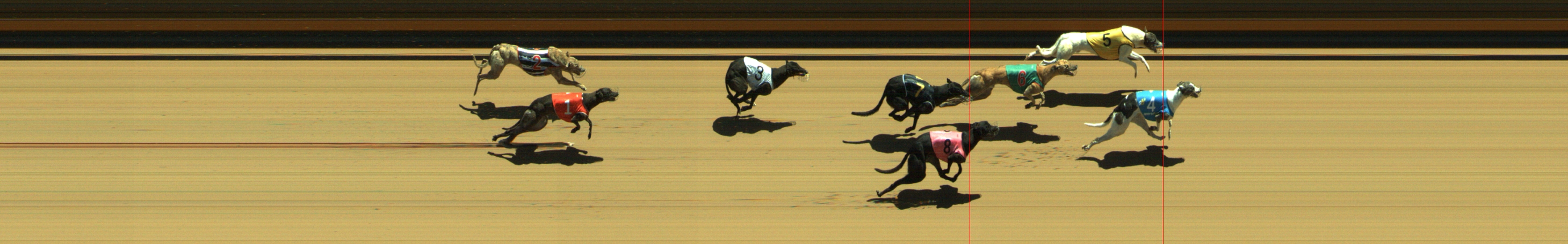 Photo finish for Geelong Race 3