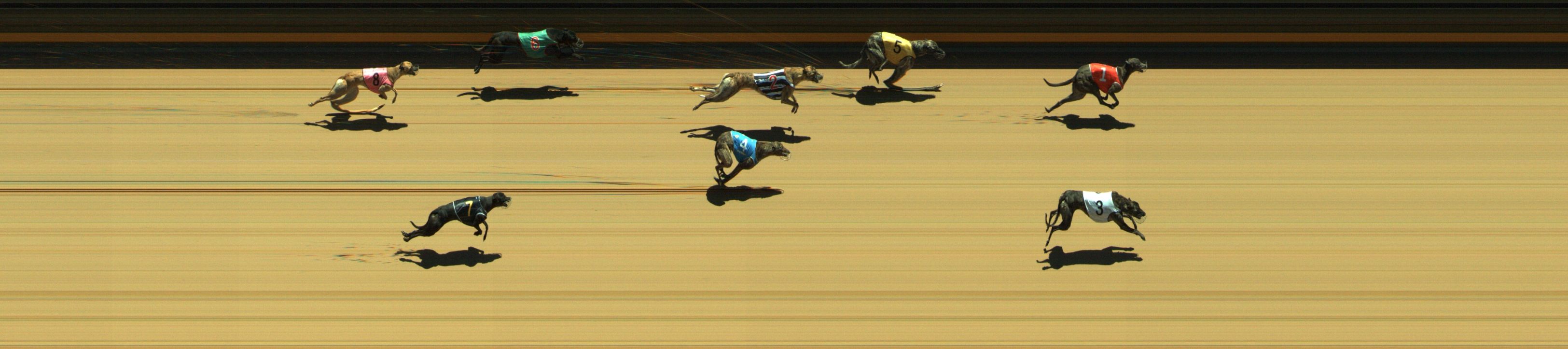 Photo finish for Geelong Race 4