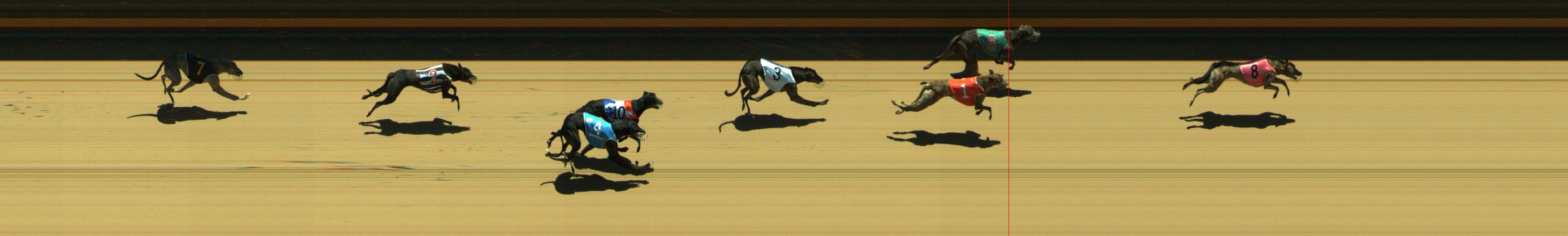 Photo finish for Geelong Race 5