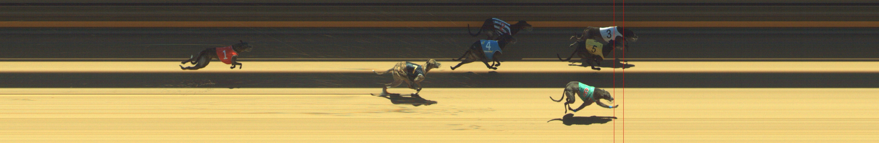 Photo finish for Geelong Race 6