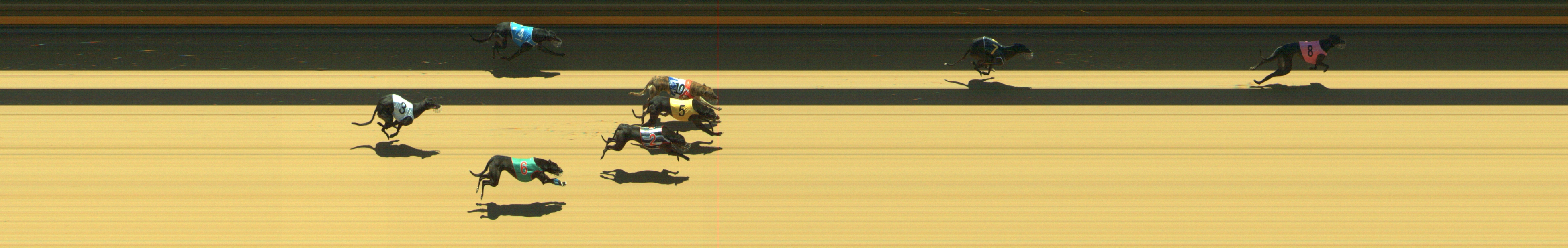 Photo finish for Geelong Race 7