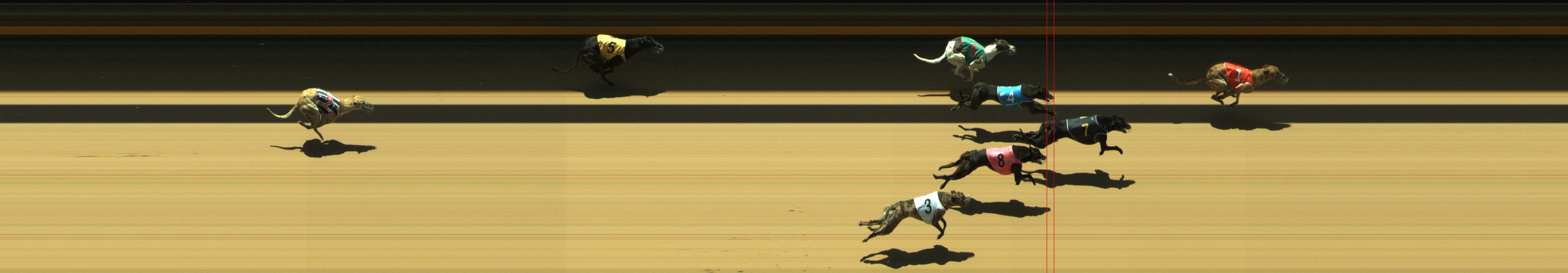 Photo finish for Geelong Race 9