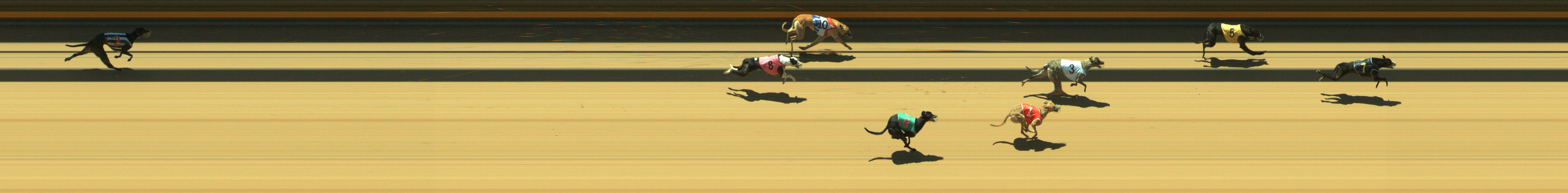 Photo finish for Geelong Race 10
