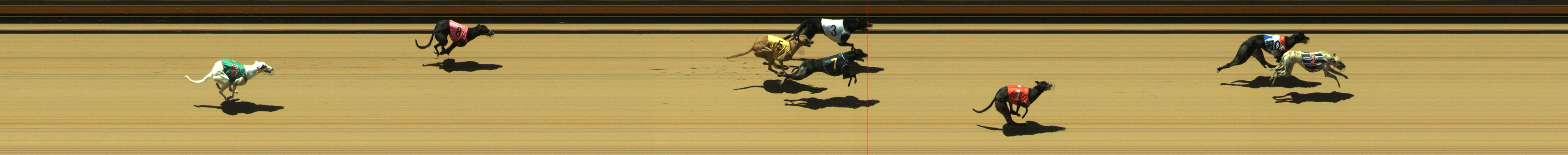 Photo finish for Geelong Race 12