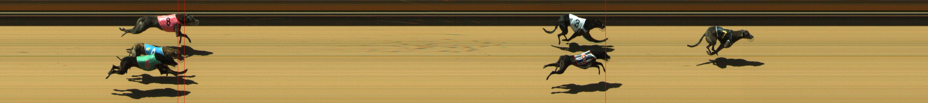 Photo finish for Geelong Race 1