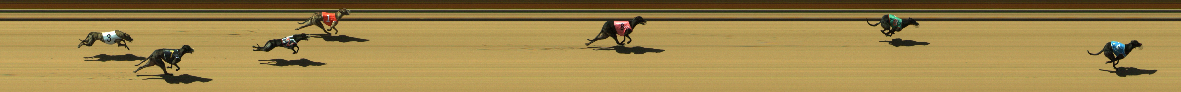 Photo finish for Geelong Race 3