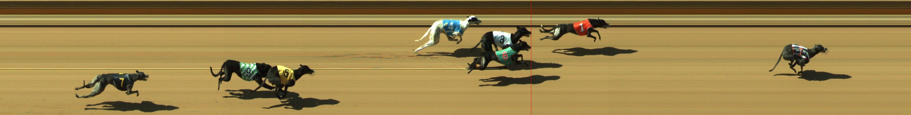 Photo finish for Geelong Race 6