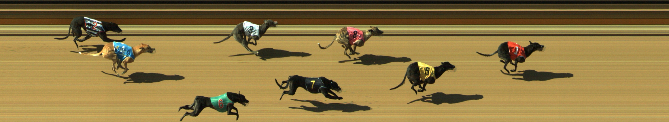 Photo finish for Geelong Race 7