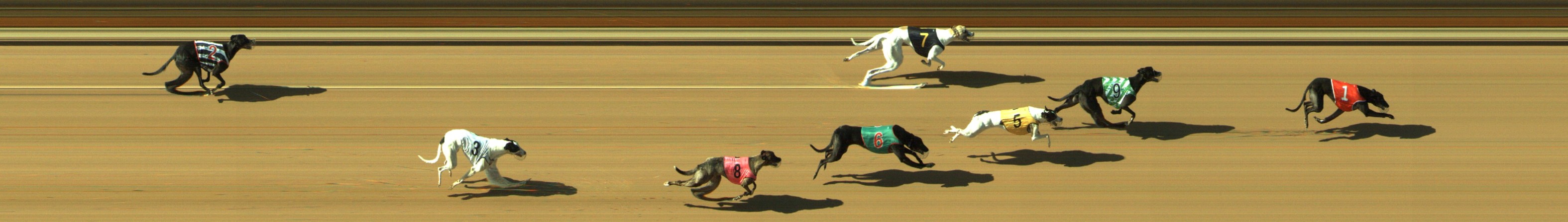 Photo finish for Geelong Race 8