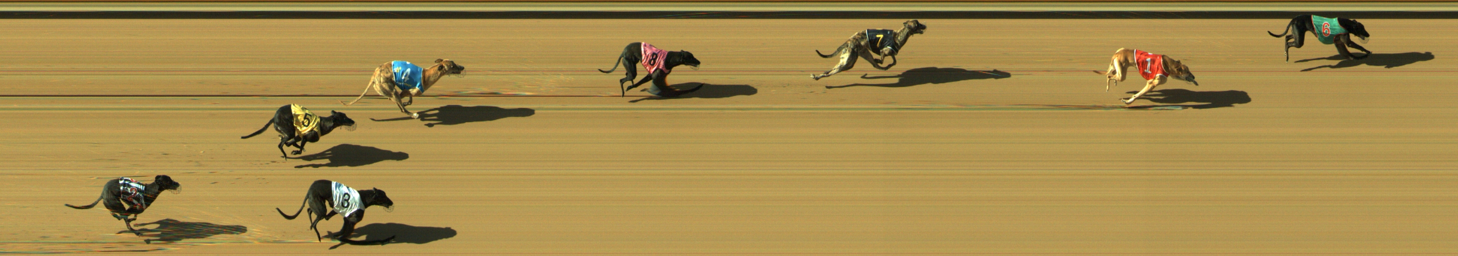 Photo finish for Geelong Race 9
