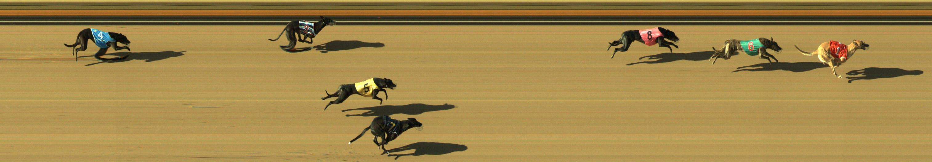 Photo finish for Geelong Race 10