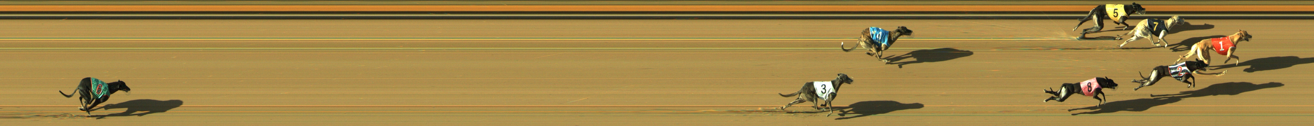 Photo finish for Geelong Race 11
