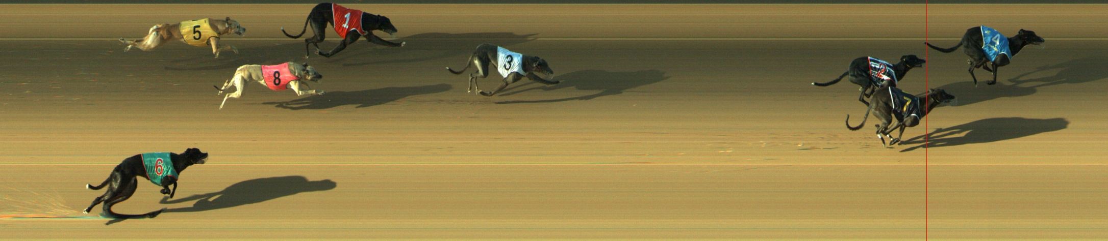 Photo finish for Geelong Race 12
