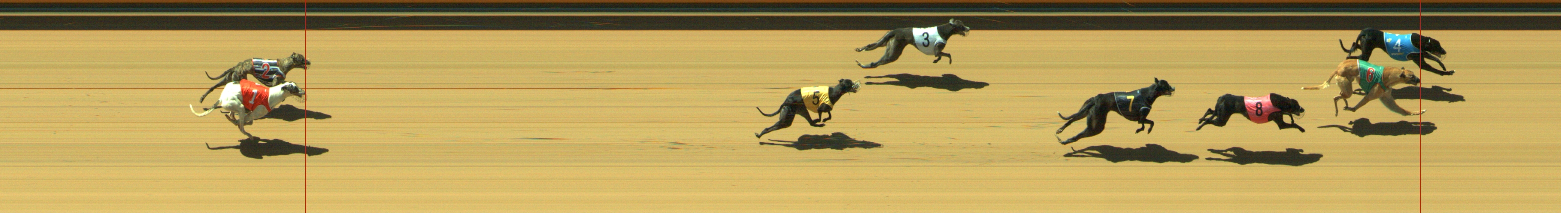 Photo finish for Geelong Race 1