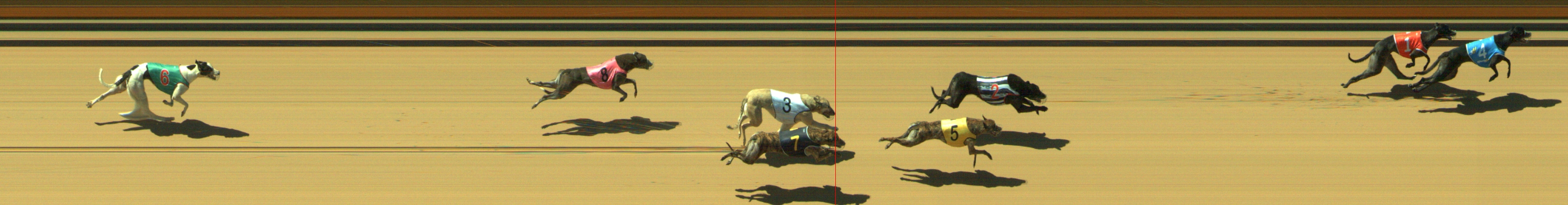 Photo finish for Geelong Race 2