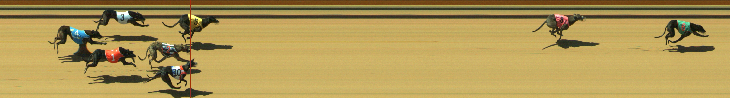 Photo finish for Geelong Race 3