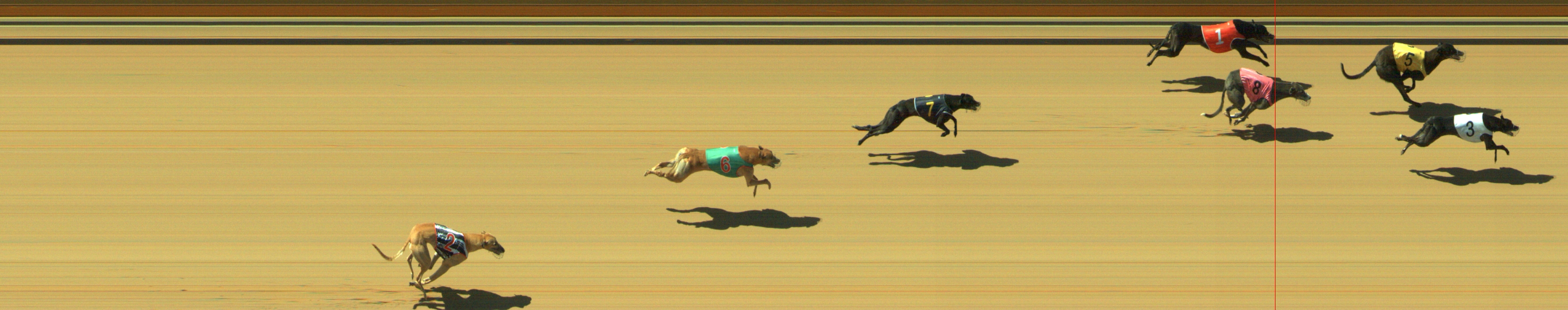 Photo finish for Geelong Race 4