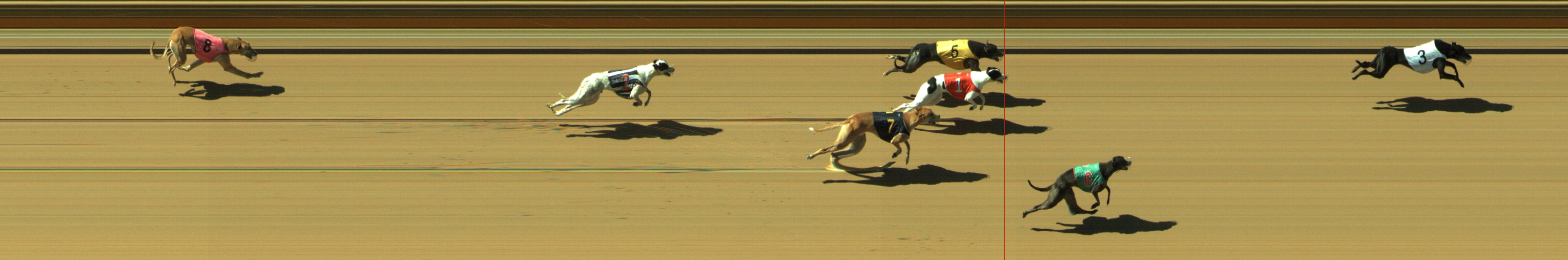 Photo finish for Geelong Race 5