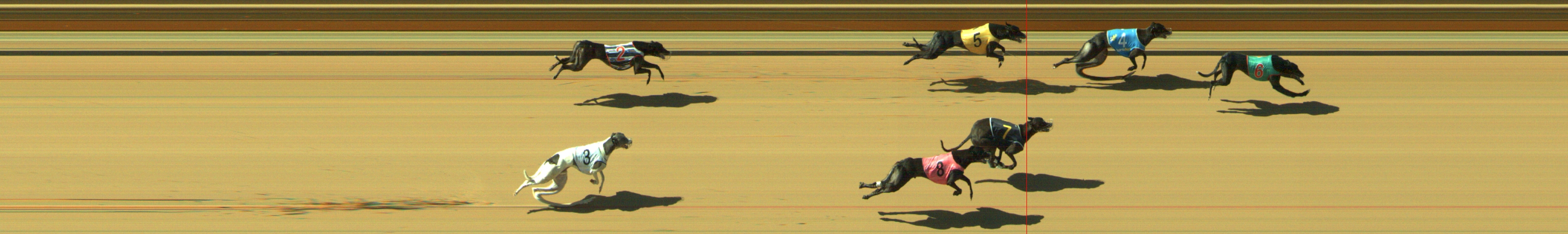 Photo finish for Geelong Race 6
