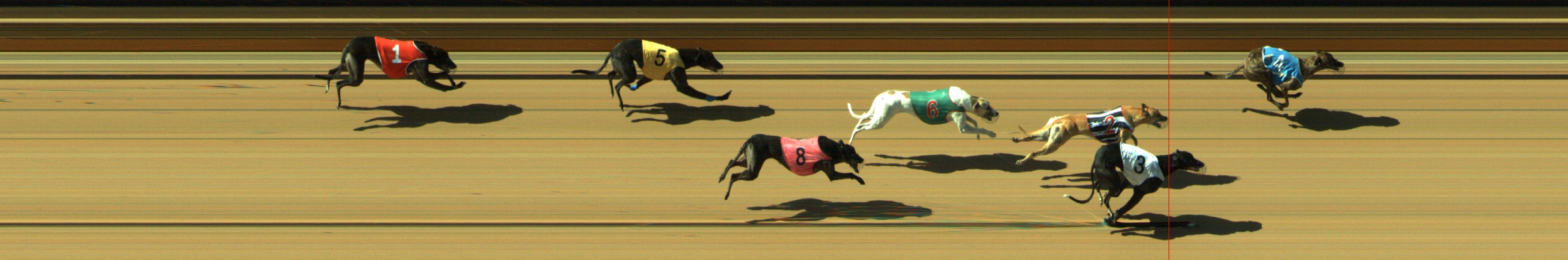 Photo finish for Geelong Race 7
