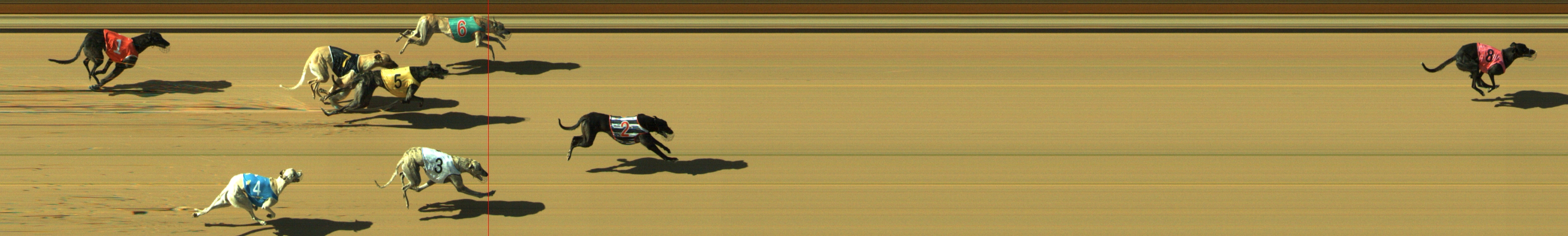 Photo finish for Geelong Race 9