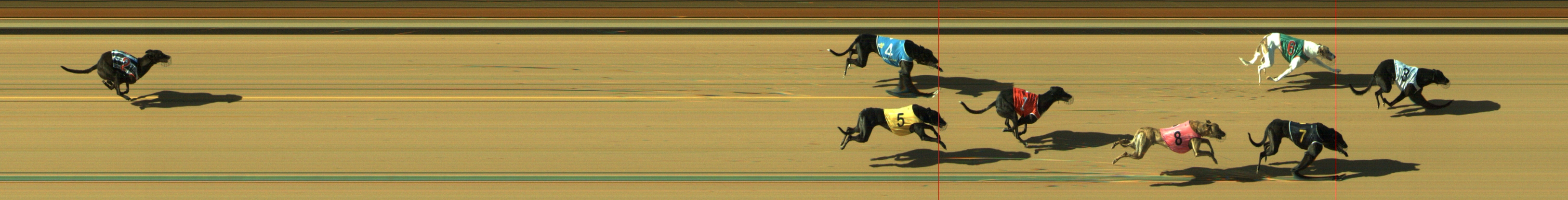 Photo finish for Geelong Race 10