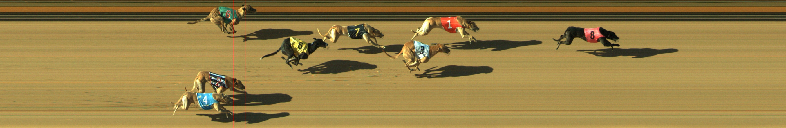 Photo finish for Geelong Race 11