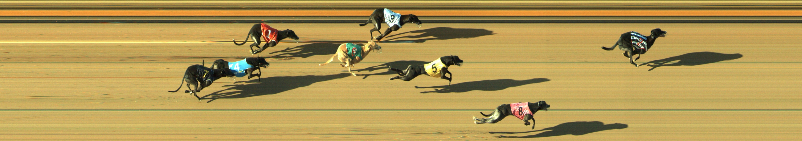 Photo finish for Geelong Race 12