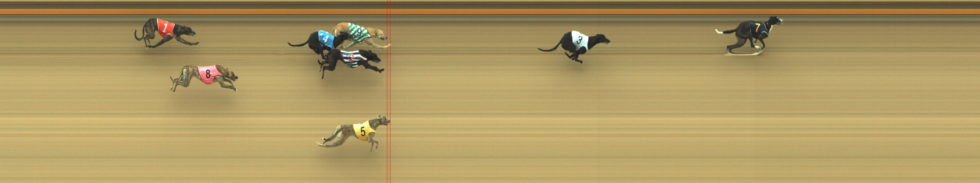 Photo finish for Geelong Race 1