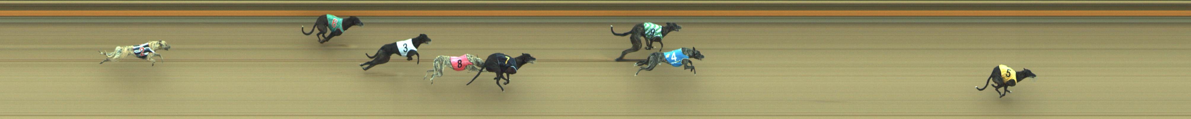 Photo finish for Geelong Race 2