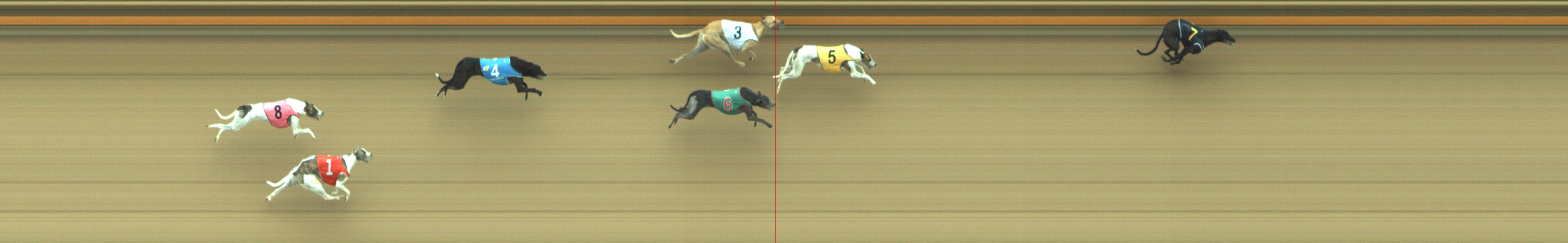 Photo finish for Geelong Race 3