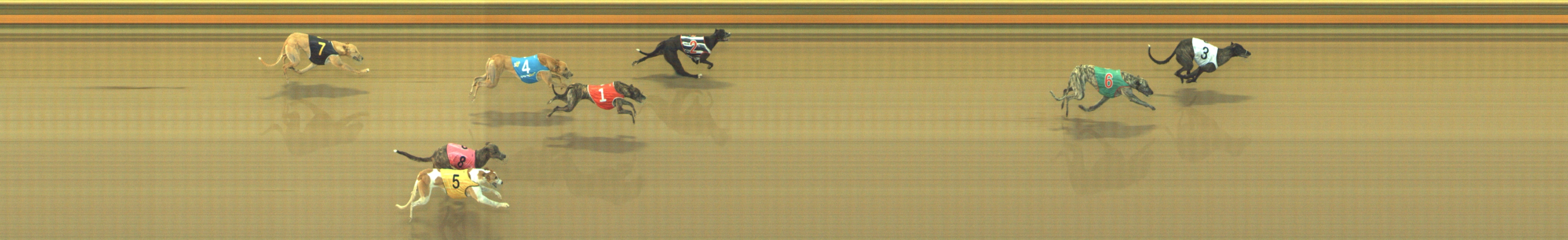 Photo finish for Geelong Race 4