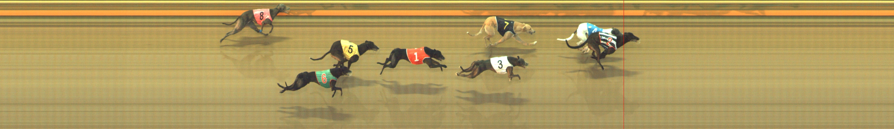 Photo finish for Geelong Race 5