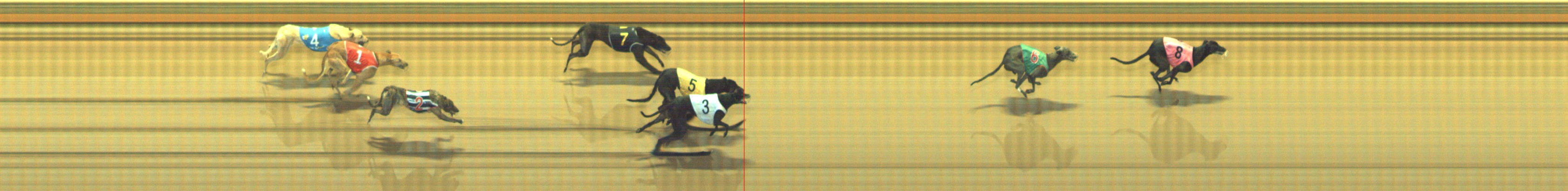 Photo finish for Geelong Race 6