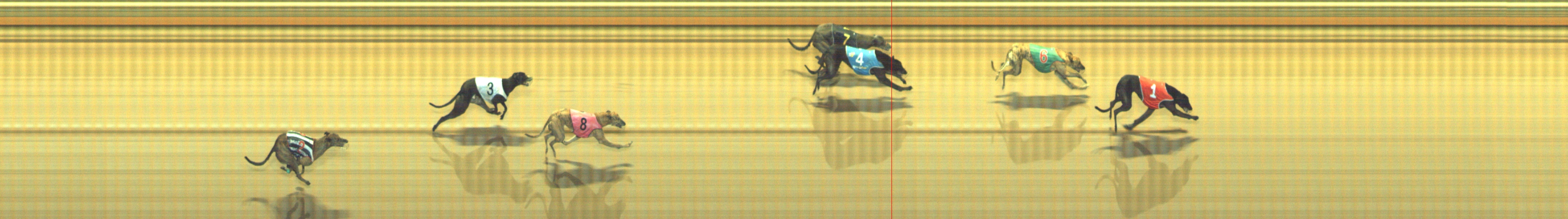 Photo finish for Geelong Race 8