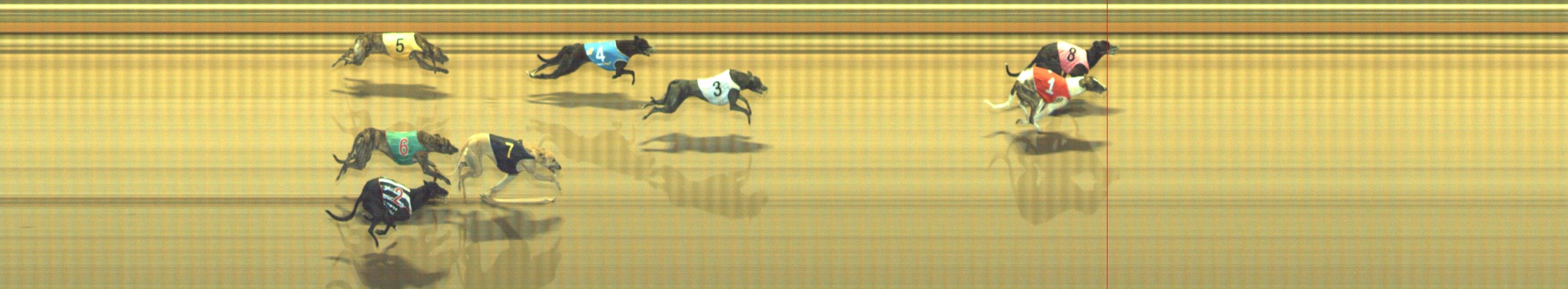 Photo finish for Geelong Race 10