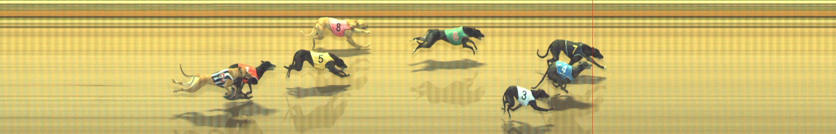 Photo finish for Geelong Race 12