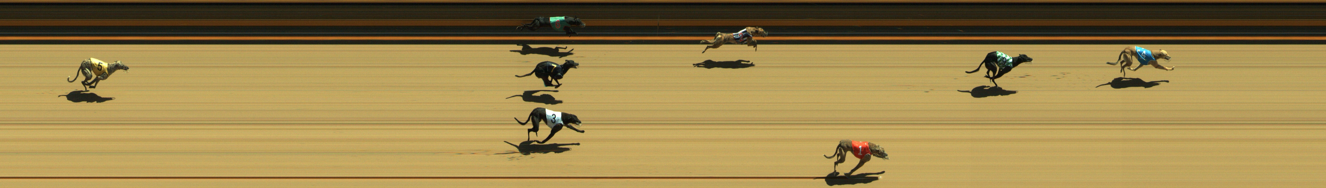 Photo finish for Geelong Race 1