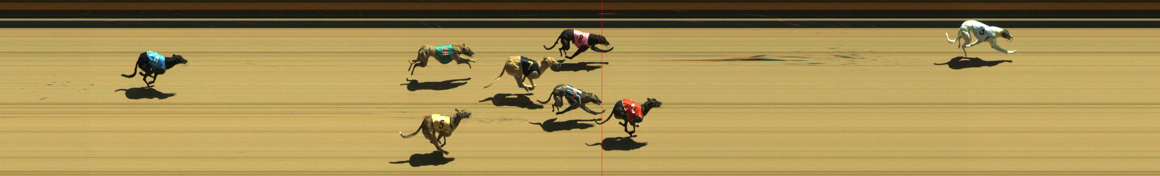 Photo finish for Geelong Race 2